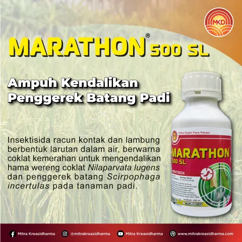 MARATHON® 500 SC, ANDALAN KENDALIKAN PENGGEREK BATANG PADI