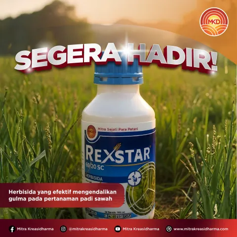 SEGERA HADIR REXSTAR 69/20 SC!