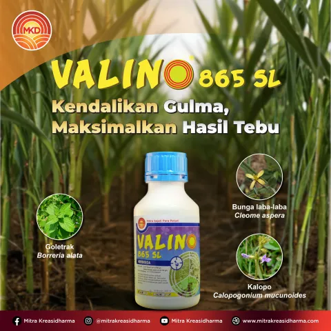 Valino® 865 SL: Herbisida Andalan untuk Pengendalian Gulma pada Lahan Tebu