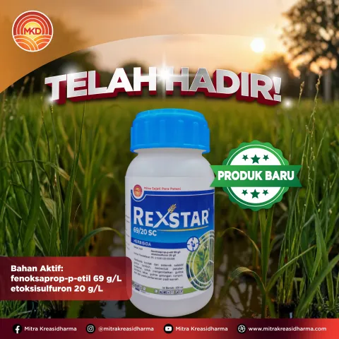 TELAH HADIR! REXSTAR® 69/20 SC, Solusi Tepat Kendalikan Gulma pada Padi Sawah