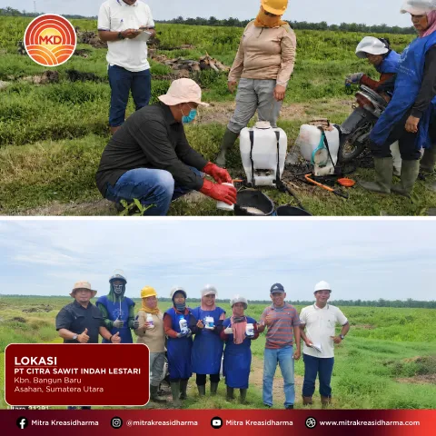 Langkah Nyata MKD Mendukung Perkebunan Sawit yang Lebih Produktif