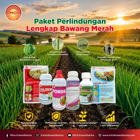 Perlindungan Menyeluruh untuk Bawang Merah: Solusi Menghadapi Hama, Penyakit, dan Kebutuhan Nutrisi