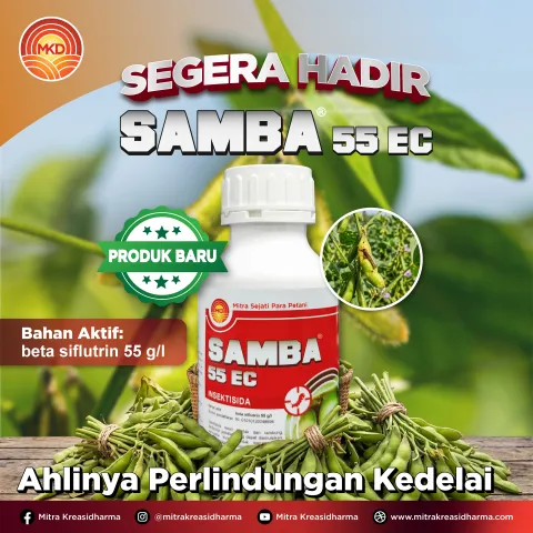 Lindungi Polong Kedelai dari Serangan Hama, SAMBA® 55 EC Segera Hadir!