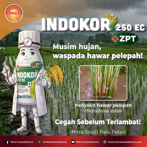Waspada Hawar Pelepah di Musim Hujan, Lindungi Tanaman Padi dengan INDOKOR® 250 EC