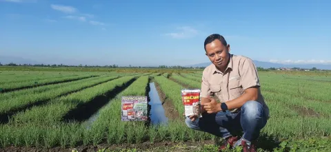 Tanamannya Sehat Produksinya Meningkat