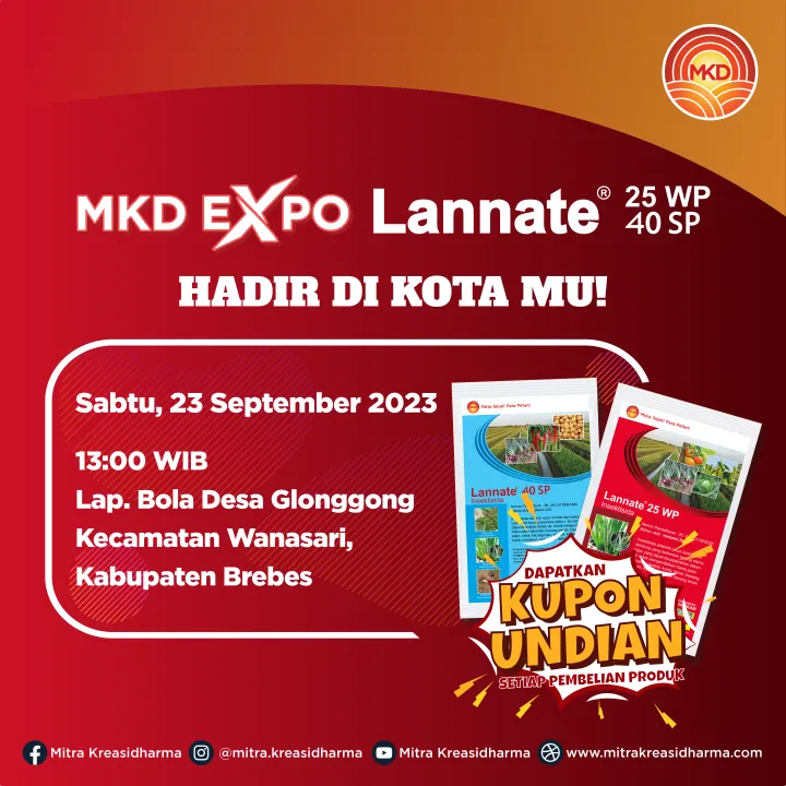 MKD EXPO LANNATE® BREBES