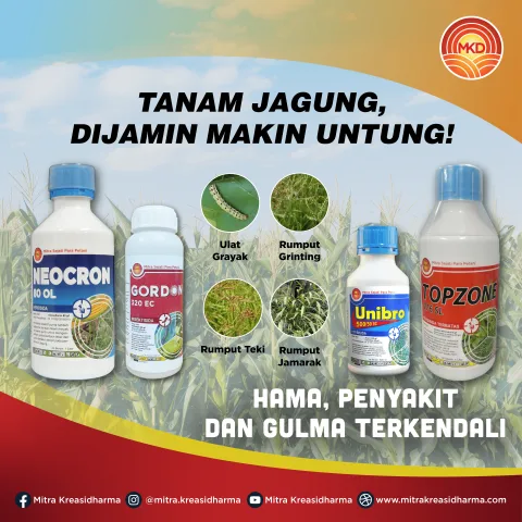 PRODUK ANDALAN MKD UNTUK TANAMAN JAGUNG