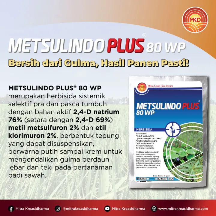 METSULINDO PLUS 80 WP: SOLUSI AMPUH UNTUK MENGENDALIKAN GULMA DI TANAMAN PADI