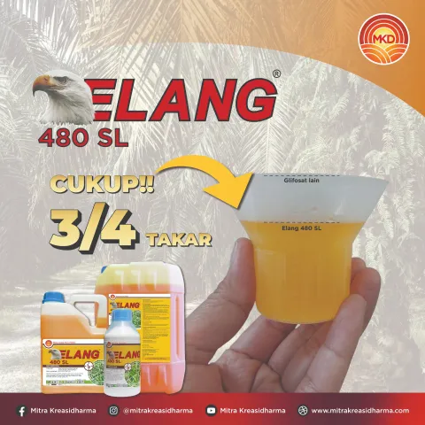 ELANG 480 SL: SOLUSI HERBISIDA NON SELEKTIF UNTUK MENGENDALIKAN GULMA