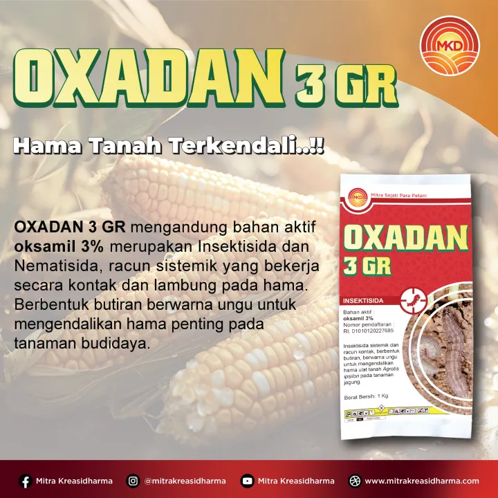 OXADAN 3 GR: SOIL PESTS CONTROLLED!