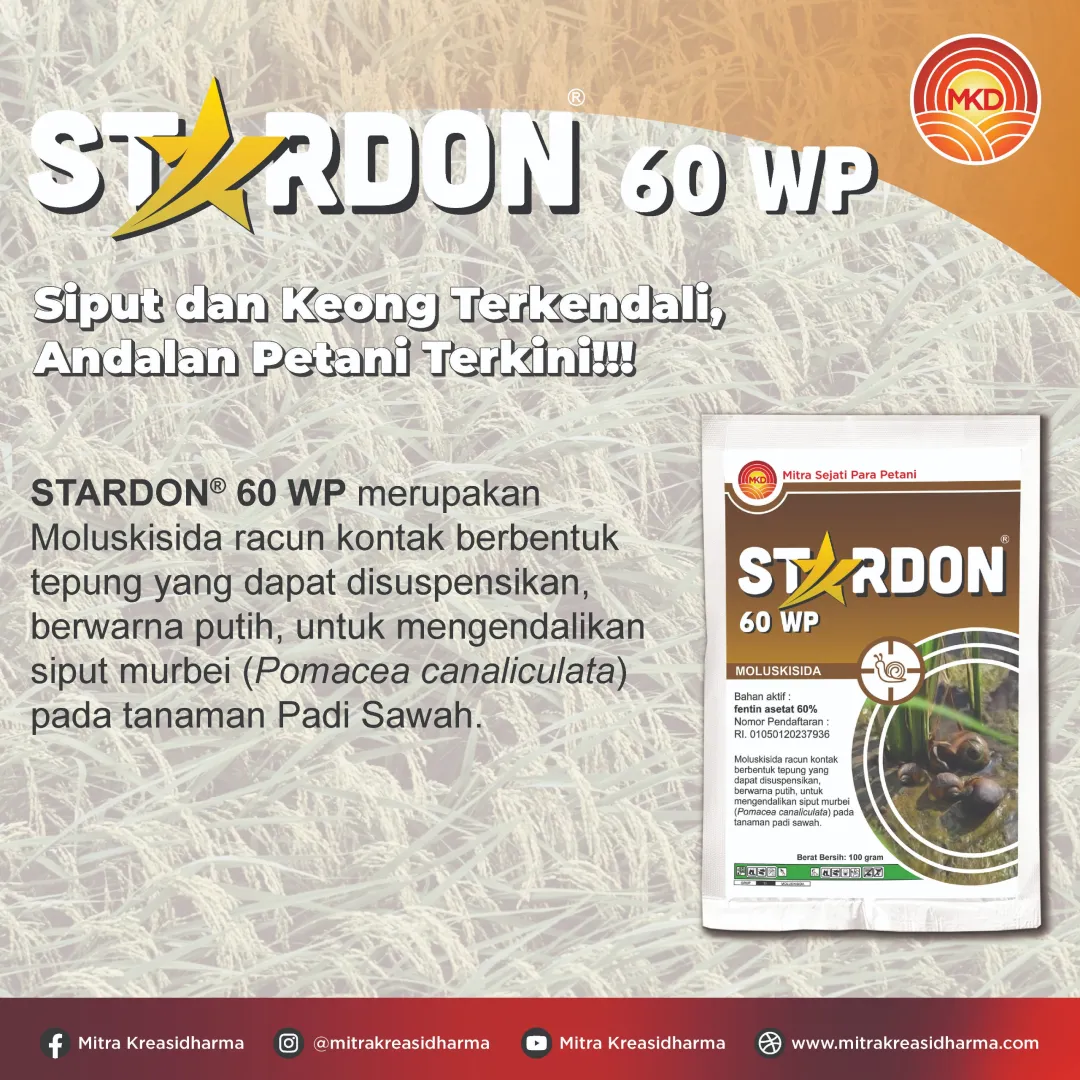 STARDON® 60 WP: SIPUT DAN KEONG TERKENDALI, ANDALAN PETANI TERKINI!