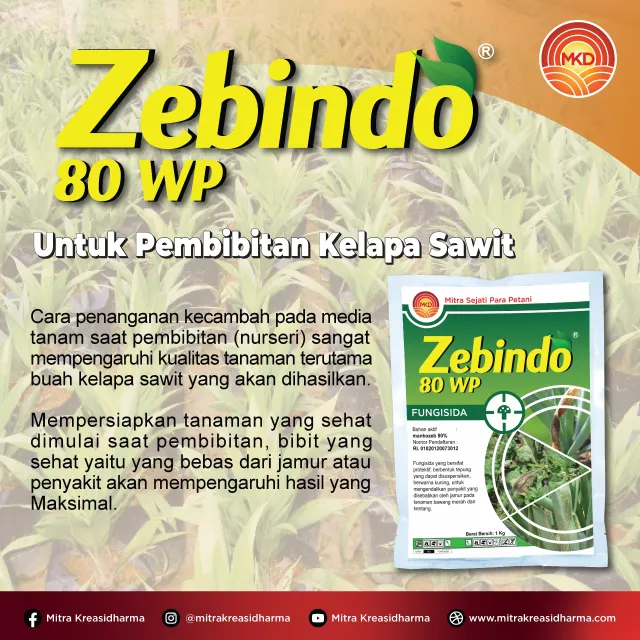 CEGAH BERCAK DAUN SEJAK DINI, JAGA KESEHATAN BIBIT SAWIT DENGAN ZEBINDO® 80 WP