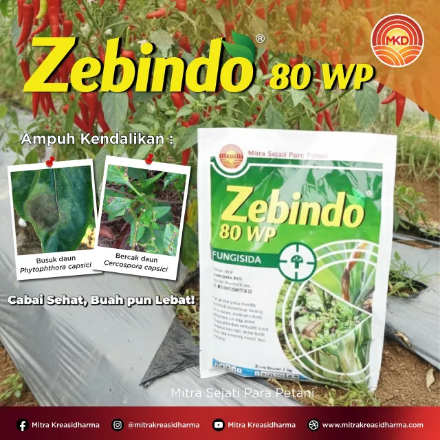 LINDUNGI TANAMAN CABAI DARI PENYAKIT DENGAN ZEBINDO® 80 WP