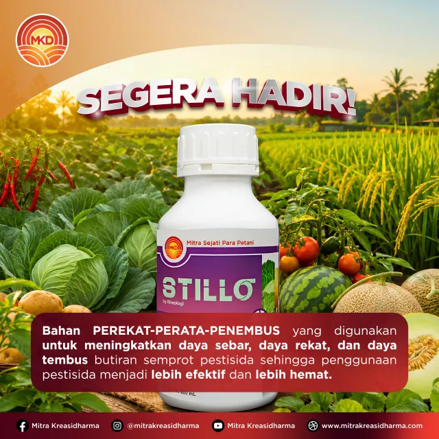 STILLO: Produk terbaru sebagai bahan PEREKAT, PERATA, dan PENEMBUS