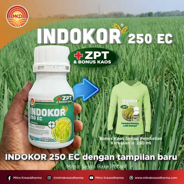 Indokor® 250 EC Tampil Baru, Perlindungan Padi Makin Mantap!